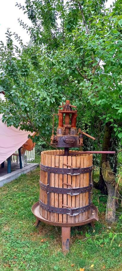 Вілла Terrebio Spresiano Екстер'єр фото